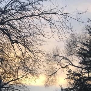 Meet your Posher, Francisco